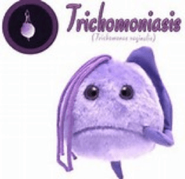 Qué son las enfermedades o infecciones de transmisión sexual - Clínica Urológica. Urología Salamanca. Dr. Miguel Ángel García - Urólogo Salamanca