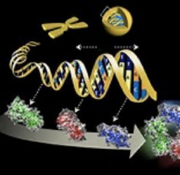 Clínica Urológica. Urología Salamanca. Dr. Miguel Ángel García - Cáncer de próstata
